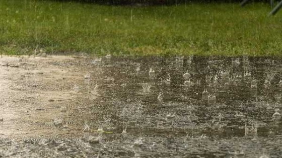 Pérez: “Para el fin de semana se esperan precipitaciones abundantes y necesarias en todo el país” — Entrevistas — Primera Mañana | El Espectador 810