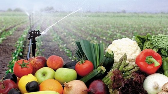 El kilo canasta frutihortícola descendió 0.1% para ubicarse en 36.4 pesos/kgs — Granja — Dinámica Rural | El Espectador 810