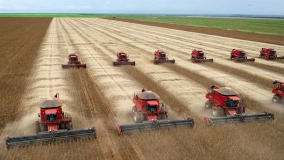 E. Erize: ''China compra, EEUU vendió toda la soja, y Brasil vende a dos manos, por lo que el precio seguirá al alza'' — Agricultura — Dinámica Rural | El Espectador 810
