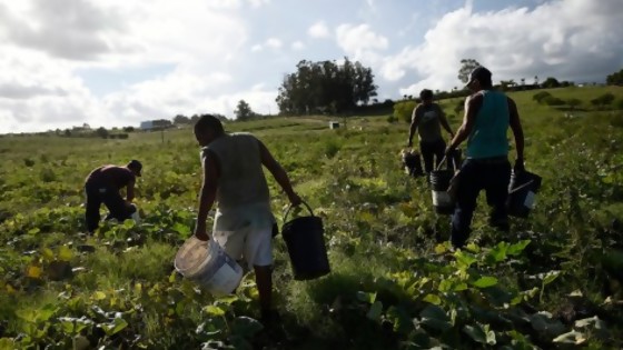 La Unión de Trabajadores Rurales confirmó incumplimiento de protocolo sanitario en el sector citrícola — Entrevistas — Al Día 810 | El Espectador 810