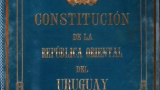 Ley interpretativa del Art.45 de la Constitución o cómo protegerse del control ciudadano — Cuestión de derechos: Dr. Juan Ceretta — Más Temprano Que Tarde | El Espectador 810