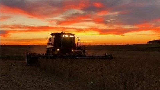L. Simean: ''En Paysandú finalmente la soja marcó un promedio de 1800 kilos/há'' — Agricultura — Dinámica Rural | El Espectador 810
