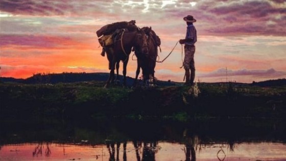 Entre Australia, Uruguay y la pandemia — Innovación — Dinámica Rural | El Espectador 810