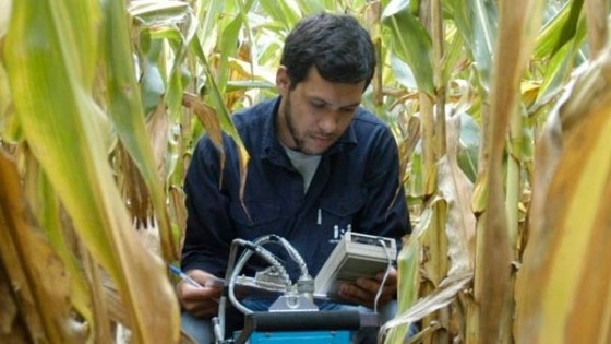 Digitalización en el agro, ''es un paso imprescindible para minimizar riesgos y maximizar la producción'' — Investigación — Dinámica Rural | El Espectador 810