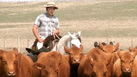 D. Claramunt: ''Invertir en genética, pasturas, bienestar animal y agregando tecnología permanente, es clave en ganadería'' — Ganadería — Dinámica Rural | El Espectador 810