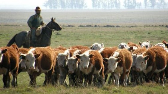 Brea Saravia, 30 años en los negocios rurales — Mercados — Dinámica Rural | El Espectador 810