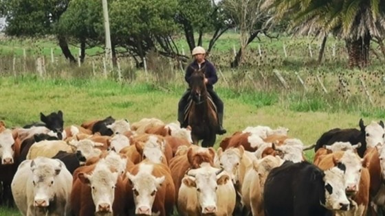 J. González: “debería formarse un nuevo mercado” — Mercados — Dinámica Rural | El Espectador 810
