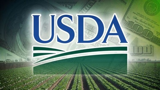 USDA: Aunque es leve el ajuste en la soja, impactó en los mercados — Comercio Exterior — Dinámica Rural | El Espectador 810