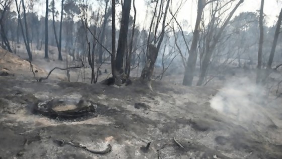 Carrese: “Fue el incendio más grande de la historia del Uruguay” — Entrevistas — Primera Mañana | El Espectador 810