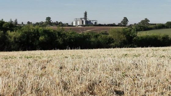 J. L. Pérez: ''La Niña estaría presente hasta abril'' — Clima — Dinámica Rural | El Espectador 810