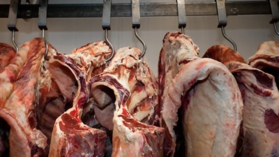 Exportaciones récord con la carne a China como principal impulso — Ricardo Leiva — No Toquen Nada | El Espectador 810