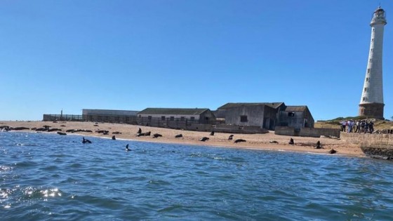 Proyecto de ecoturismo promovido por la Intendencia de Maldonado en Isla de Lobos, preocupa a especialistas — La Entrevista — Más Temprano Que Tarde | El Espectador 810