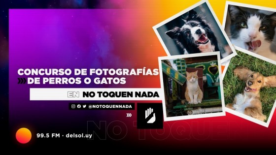 Concurso de fotos de mascotas: los fundamentos del jurado — Leo Barizzoni — No Toquen Nada | El Espectador 810