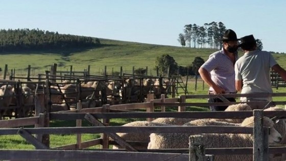 M. Sanguinetti: ''Con limitantes, el rubro ovino demostró que es un buen negocio'' — gremiales — Dinámica Rural | El Espectador 810