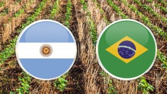 Soja Mercosur: Brasil recorta 20 millones de toneladas y Argentina va en esa línea — Comercio Exterior — Dinámica Rural | El Espectador 810