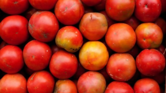 Las razones del aumento del precio del tomate — Entrevistas — No Toquen Nada | El Espectador 810