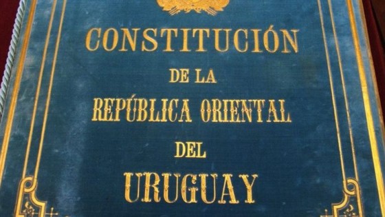 La diferencia entre derogar y anular una ley — Cuestión de derechos: Dr. Juan Ceretta — Más Temprano Que Tarde | El Espectador 810