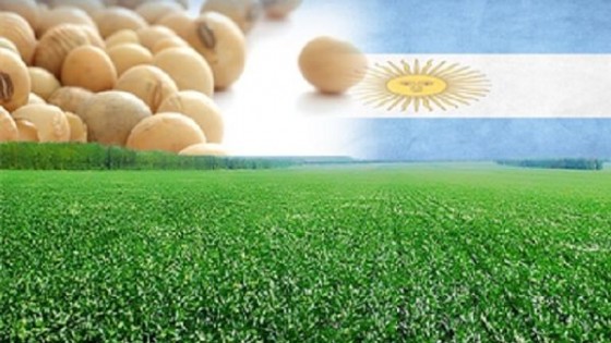 Argentina: Entre una 3a Niña, menor producción de soja e inestabilidad del Gobierno — Agricultura — Dinámica Rural | El Espectador 810
