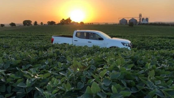 Uruguay alcanzará los 3 millones de toneladas de soja — Agricultura — Dinámica Rural | El Espectador 810