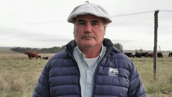 Angus, siempre proyectando la ganadería moderna  — Ganadería — Dinámica Rural | El Espectador 810