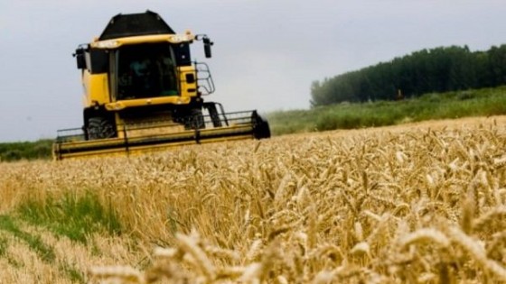 Agricultura: Análisis para saber lo que pasa — Economía — Dinámica Rural | El Espectador 810