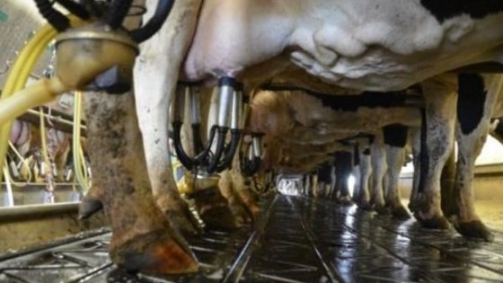 ''En invierno también debe ser prioridad la calidad de la leche'' — Lechería — Dinámica Rural | El Espectador 810