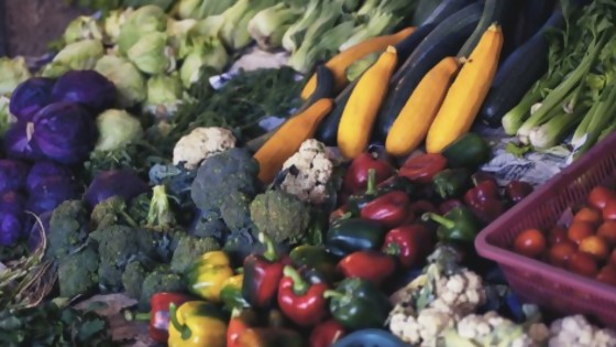 Mucha oferta de frutas y hortalizas: el poder sigue en manos del comprador — Entrevistas — No Toquen Nada | El Espectador 810