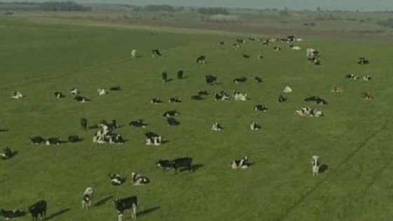 Plan Verde, ''un plan integral para el productor lechero'' — Lechería — Dinámica Rural | El Espectador 810