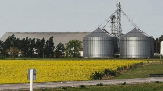 Crece la economía uruguaya y el agro lo hace un 17% — Economía — Dinámica Rural | El Espectador 810