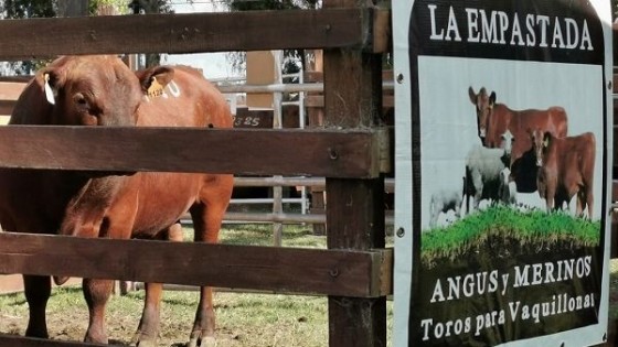 La Empastada y un clásico de la zafra de toros — Zafra — Dinámica Rural | El Espectador 810