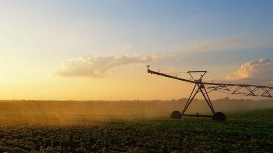 J. Zerbino: ''en agronegocios tenemos un portfolio a medida del empresario'' — Economía — Dinámica Rural | El Espectador 810
