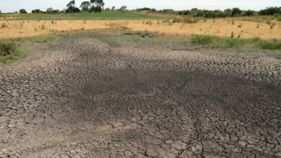 Bidegain: “Al sur de nuestro país la falta de lluvia comienza a sentirse” — Entrevistas — Primera Mañana | El Espectador 810