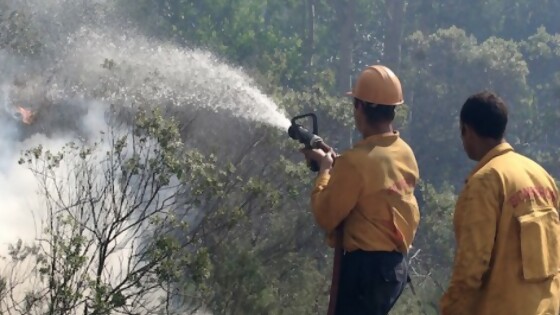 “La causa de los incendios mayoritariamente es humana” — La entrevista — Paren Todo | El Espectador 810