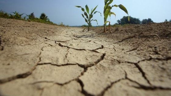 Clima: ''sigue la sequía aunque la Niña parece que se va'' — Clima — Dinámica Rural | El Espectador 810