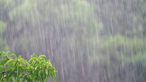 Finalmente se dieron las lluvias en medio de la sequía — Clima — Dinámica Rural | El Espectador 810