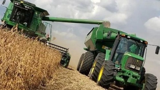 La soja no sorprende en sus rendimientos  — Cultivos de invierno — Dinámica Rural | El Espectador 810