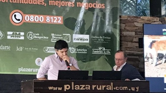 Plazarural 'mueve el mercado con más de 20 mil vacunos' — Ganadería — Dinámica Rural | El Espectador 810