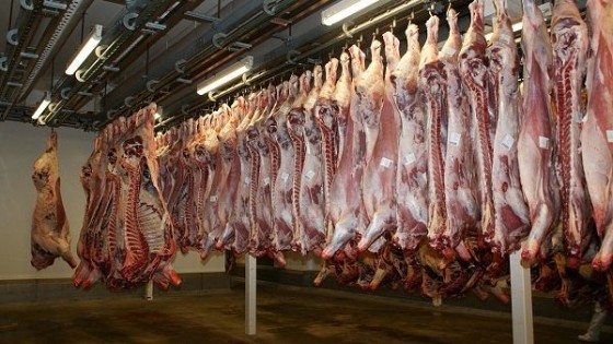 Frigorífico Florida fue auditada de forma virtual para exportar carne a China — Economía — Dinámica Rural | El Espectador 810