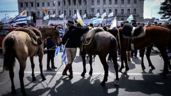 El monolito de Un Solo Uruguay y cómo fue esta legislatura de Unidad Popular — NTN Concentrado — No Toquen Nada | El Espectador 810