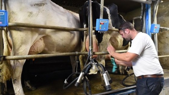 Proleco anunció fideicomiso lechero con fondos del BID para pagar entre 7 a 12 años — Lechería — Dinámica Rural | El Espectador 810