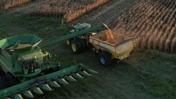 De La Fuente: “la cosecha de soja es catastrófica” — Cultivos de invierno — Dinámica Rural | El Espectador 810