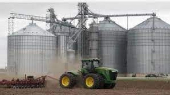 Cosecha de soja: DICA exhorta a tomar cuidados para que no haya grano curado en el circuito comercial — Agricultura — Dinámica Rural | El Espectador 810