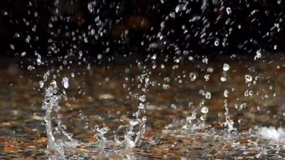 Pérez: “Estamos cerrando el mes con valores de lluvias que se acercan a lo esperado” — Entrevistas — Primera Mañana | El Espectador 810