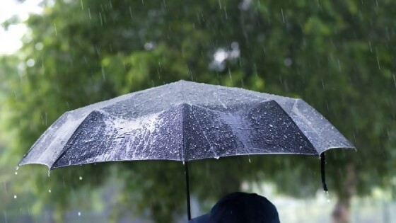Lluvias y temperaturas por encima de lo normal en la primavera que comienza el 23 de setiembre — La Entrevista — Más Temprano Que Tarde | El Espectador 810
