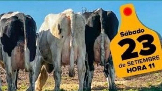 Urchitano remata holando SH y maquinaria por liquidación total de Don Agustín — Lechería — Dinámica Rural | El Espectador 810