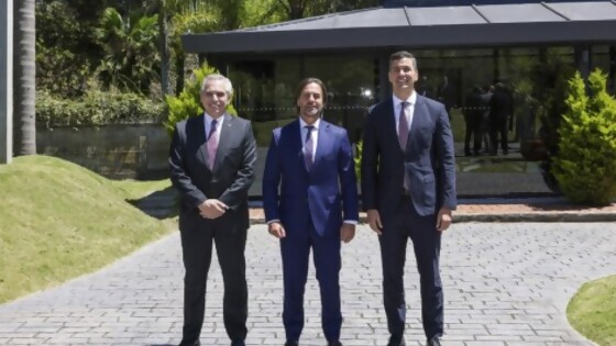 La reunión (sin sentido) de los presidentes de Argentina, Paraguay y Uruguay — Darwin concentrado — No Toquen Nada | El Espectador 810