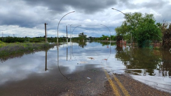 Olivera: “Hasta el momento hay 1251 personas evacuadas por las inundaciones” — Entrevistas — Primera Mañana | El Espectador 810