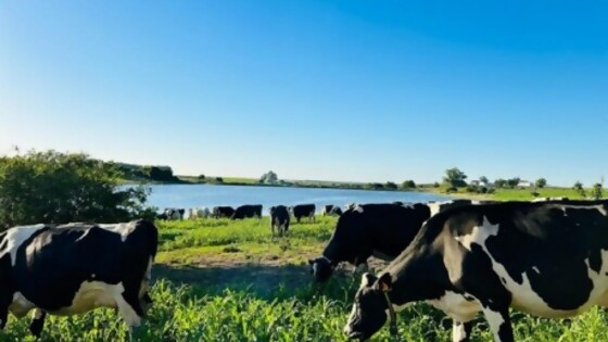 Gabriel Fernández: nuestra tarea siempre tiene al productor como principal objetivo — Lechería — Dinámica Rural | El Espectador 810