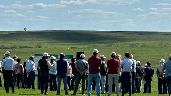 Fernández: curso ganadero de Plan Agropecuario recibe inscripciones hasta el 8 de marzo — Extensión — Dinámica Rural | El Espectador 810