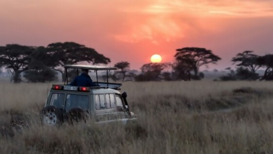Consejos para un safari en África — Segmento humorístico — La Venganza sera terrible | El Espectador 810